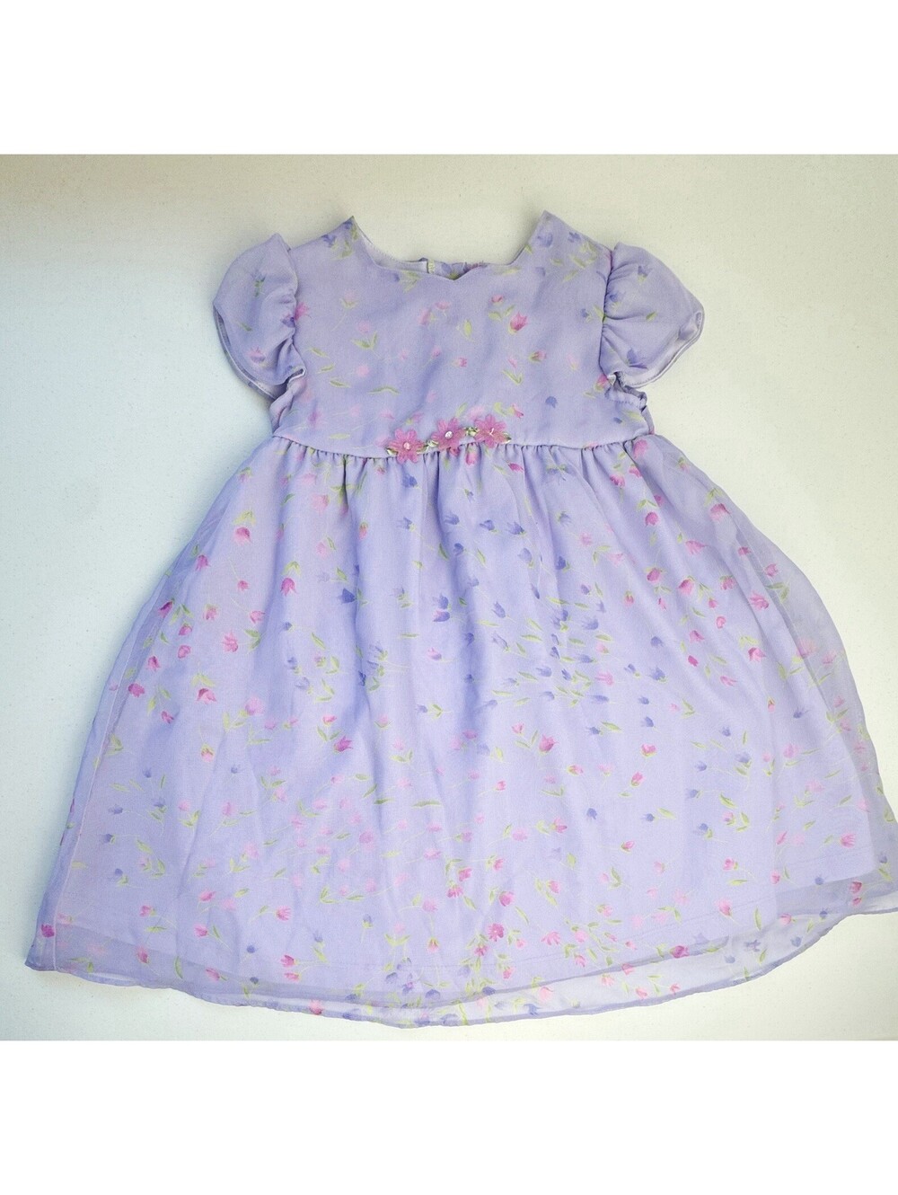 Joan Michelle Floral Dress Size 24 Months
